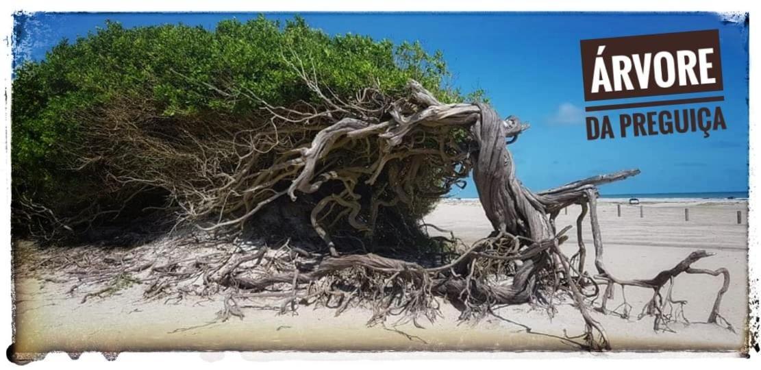 Willa Casa A 3 Minutos Do Aeroporto De Jericoacoara Zewnętrze zdjęcie